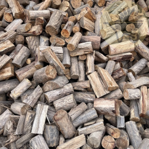 Bluegum