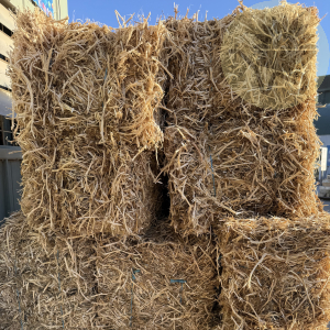 Pea Straw Bale