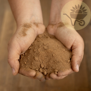Sandy Loam