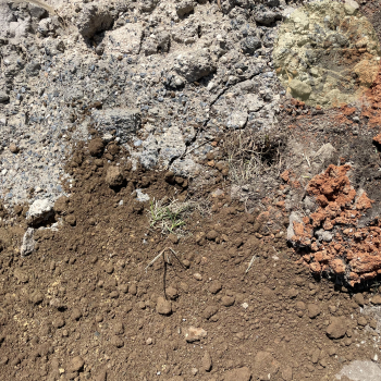 Fill [Dirt/Soil] [PHONE / IN STORE ORDERS ONLY]