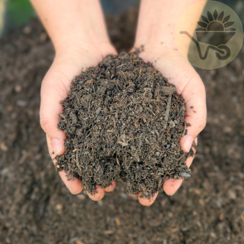 Forest Mulch