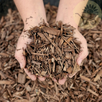 Forever Brown Bark 