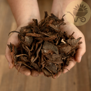 40mm Graded Bark