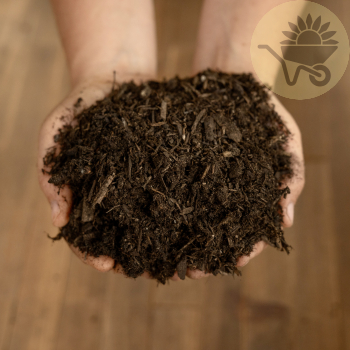 Jeffries Special Soil
