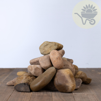 20mm - 60mm Natural Charm Oversize