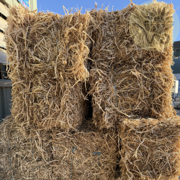 Pea Straw Bale