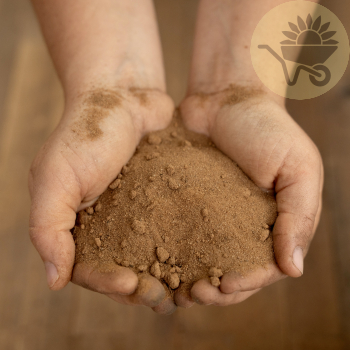 Sandy Loam