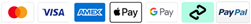 Payment